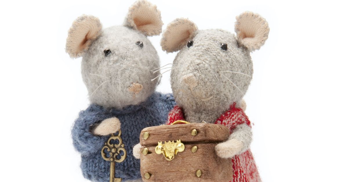 Sam & Julia (2+) — Op avontuur