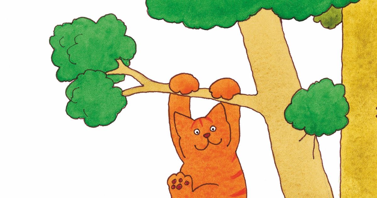 Dikkie Dik 2+